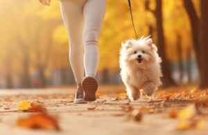 犬の散歩は週末だけでも大丈夫？毎日行ったほうがいい？