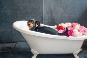 犬がお風呂入らないとどうなるのか？頻度や最適な温度を知ろう！