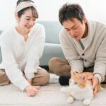 保護猫がなつかないのは？トライアルをする理由と対策について解説！